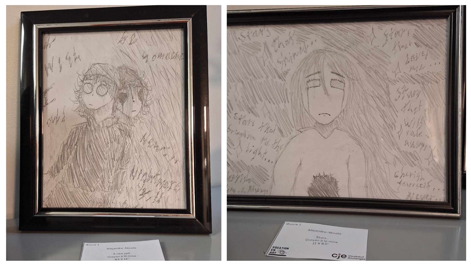Nearly 20 artists and more than 25 works on display at Carrefour jeunesse-emploi