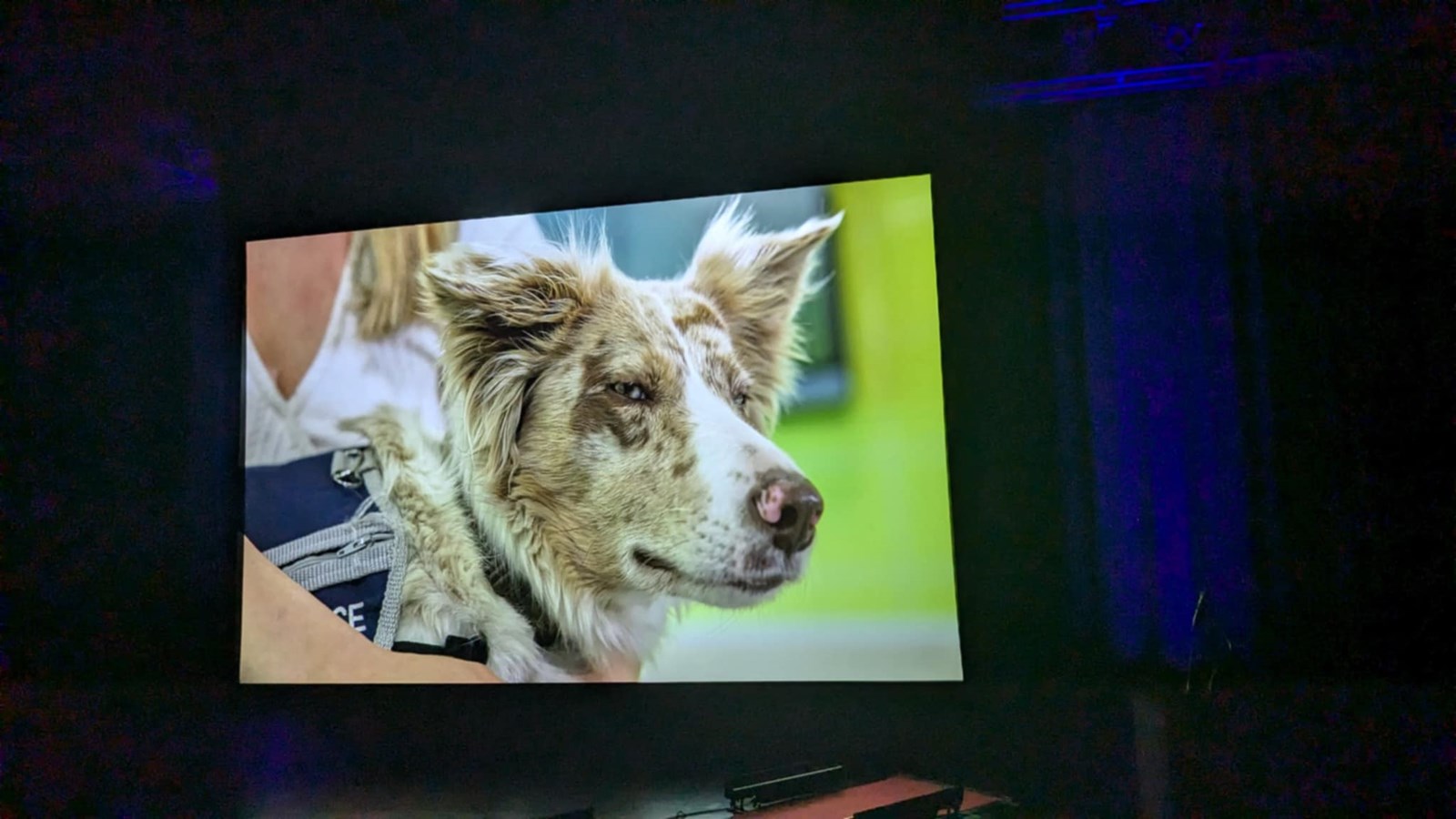Lancement réussi pour le documentaire sur l'anxiété La corde sensible 