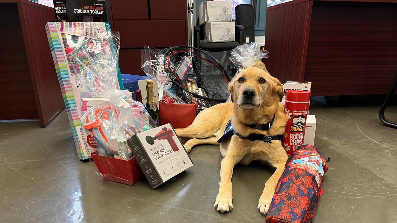 Max, the Asista service dog for John Abbott College, poses with some of the prizes offered during the virtual auction