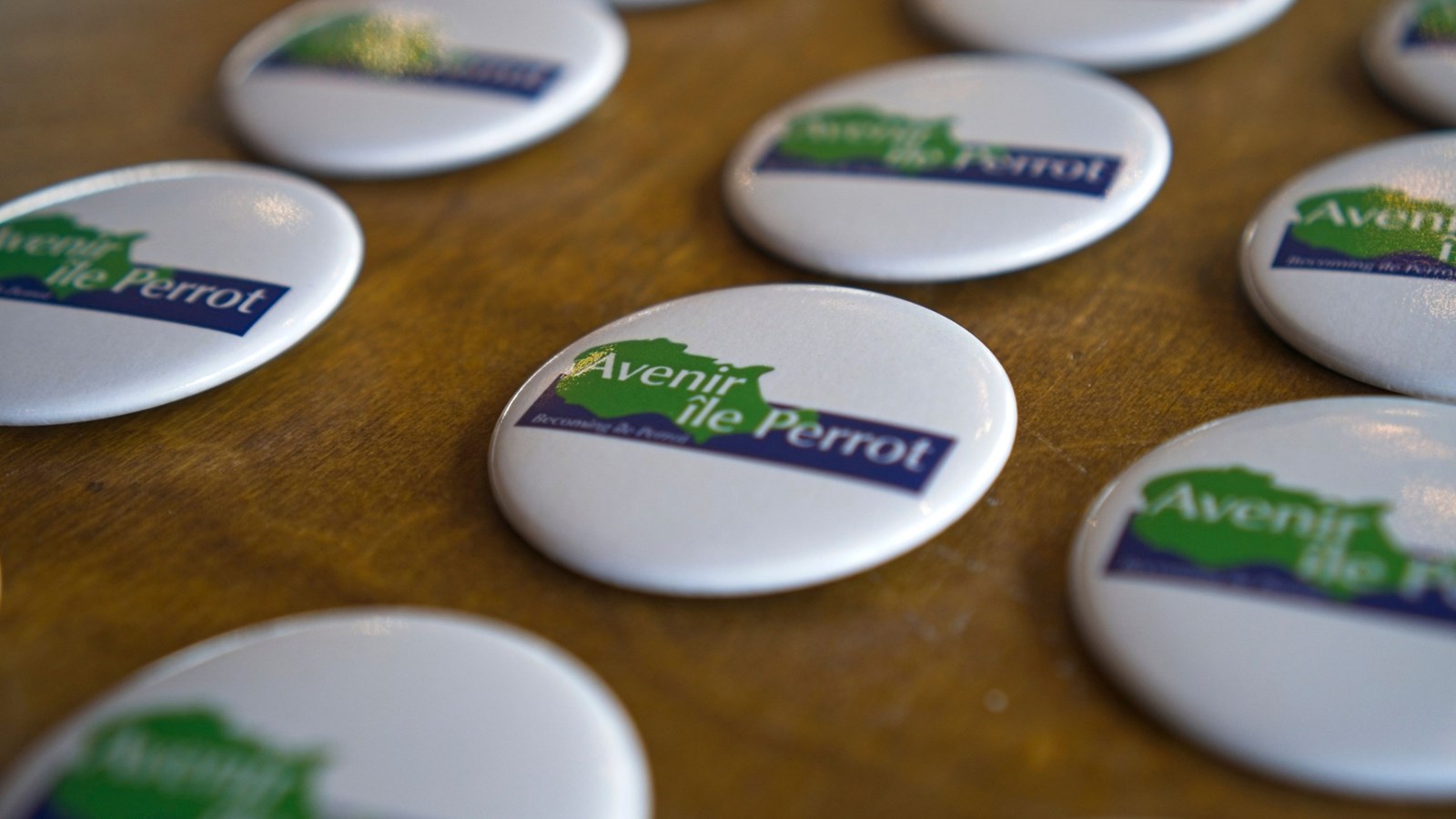 Avenir Île Perrot requests a study by MAMH