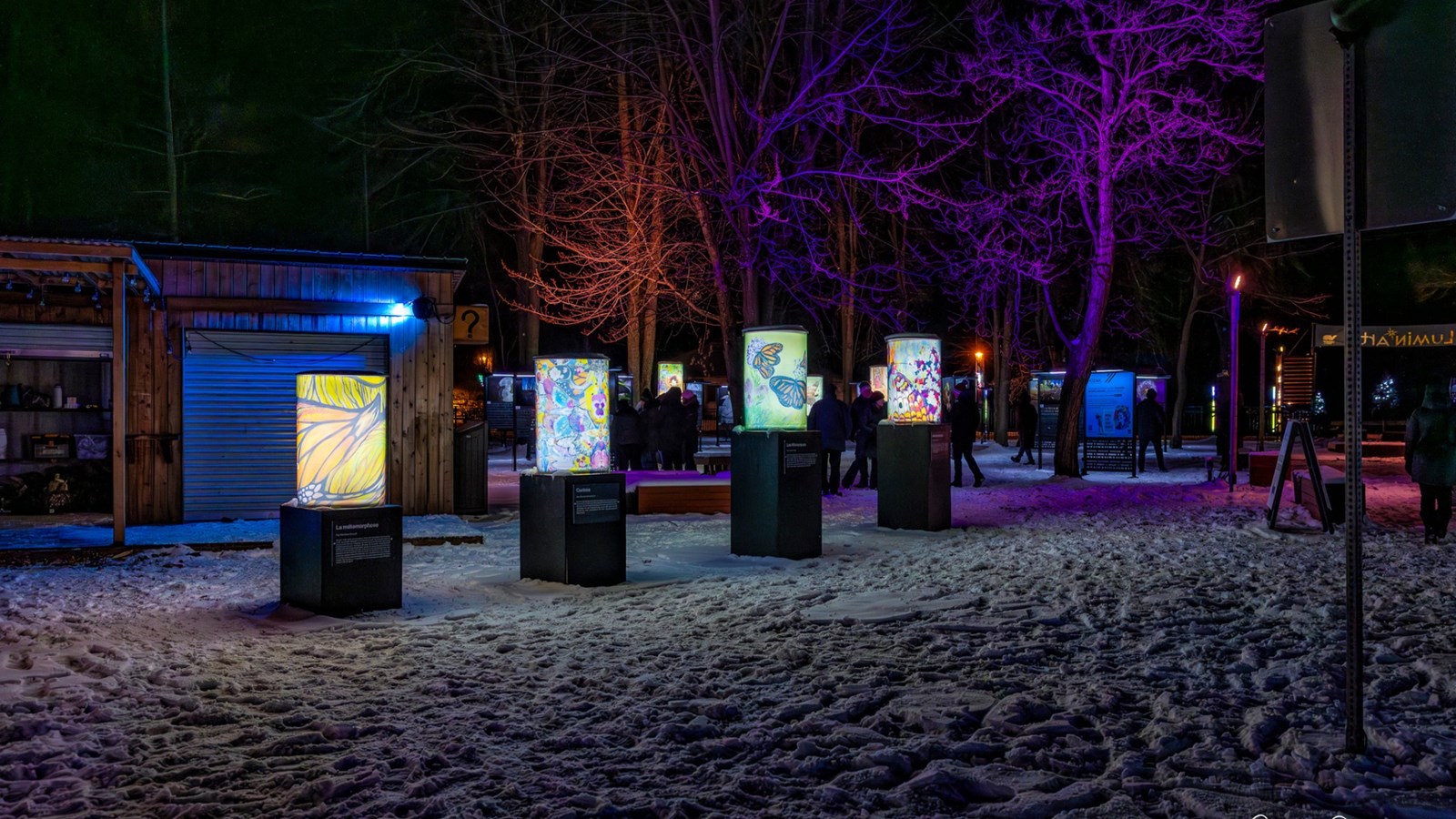 Découvrez Mutation au parc Le 405 jusqu'au 16 février