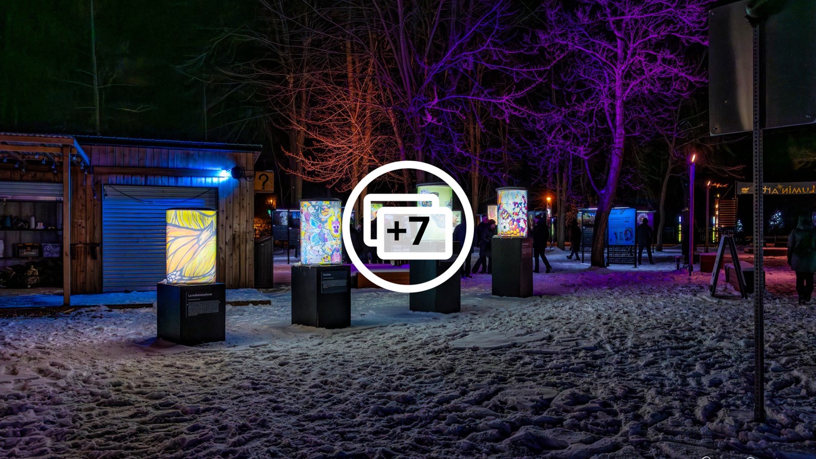 Découvrez Mutation au parc Le 405 jusqu'au 16 février 