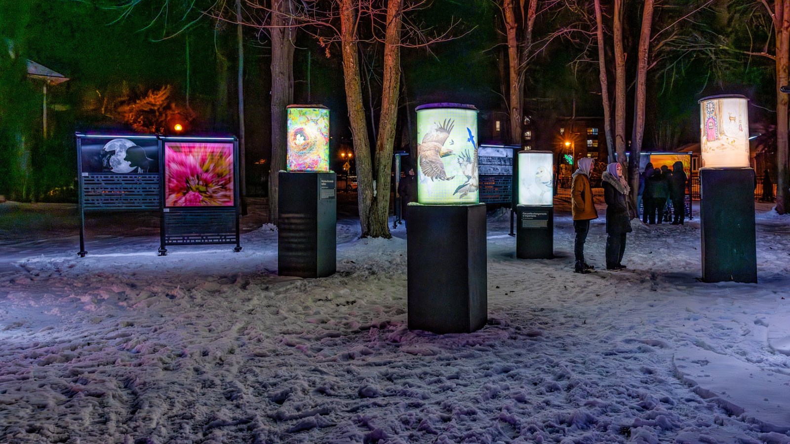 Découvrez Mutation au parc Le 405 jusqu'au 16 février