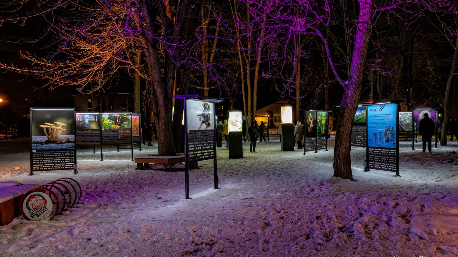 Découvrez Mutation au parc Le 405 jusqu'au 16 février