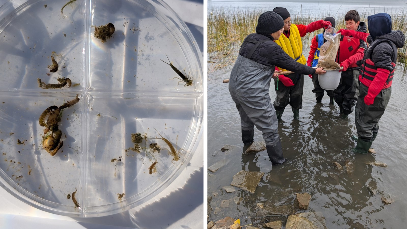 Five classes from Vaudreuil-Soulanges learn about the science of water