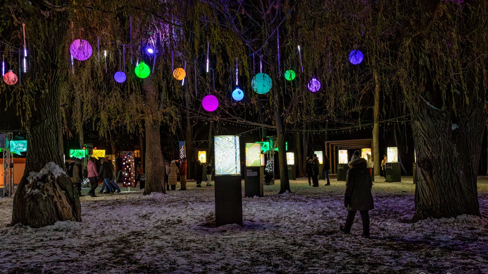 Discover the 5th edition of Lumin'Art at Parc 405 from now until February 16   