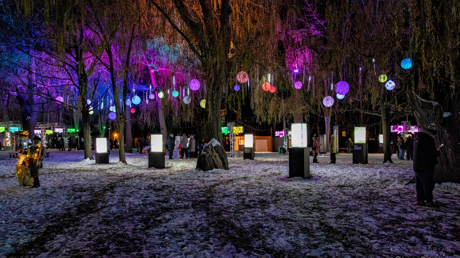 Discover the 5th edition of Lumin'Art at Parc 405 from now until February 16   