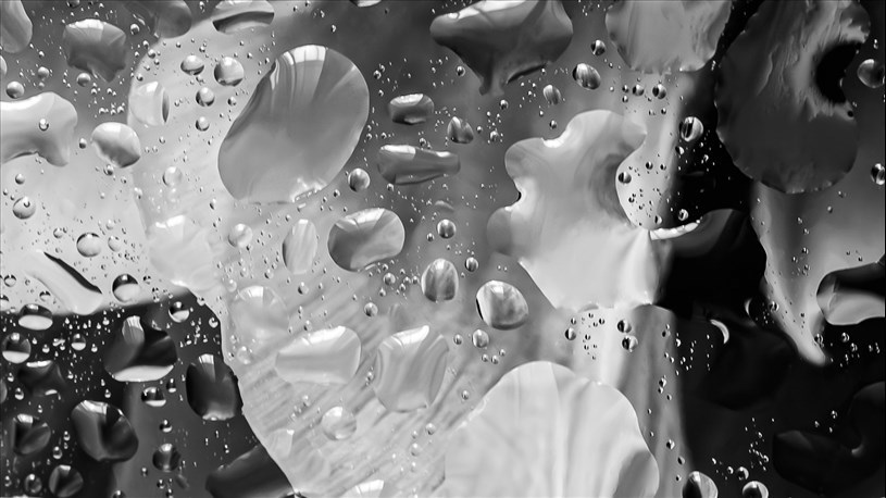 Photo de Claudia Romero, Harmonie liquide