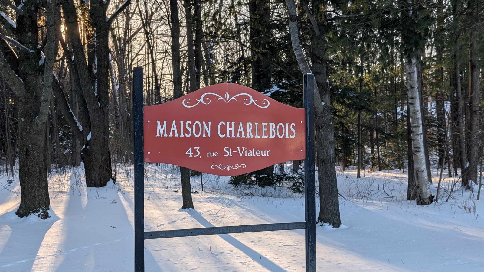 Zoning change in the Maison Charlebois woodland 