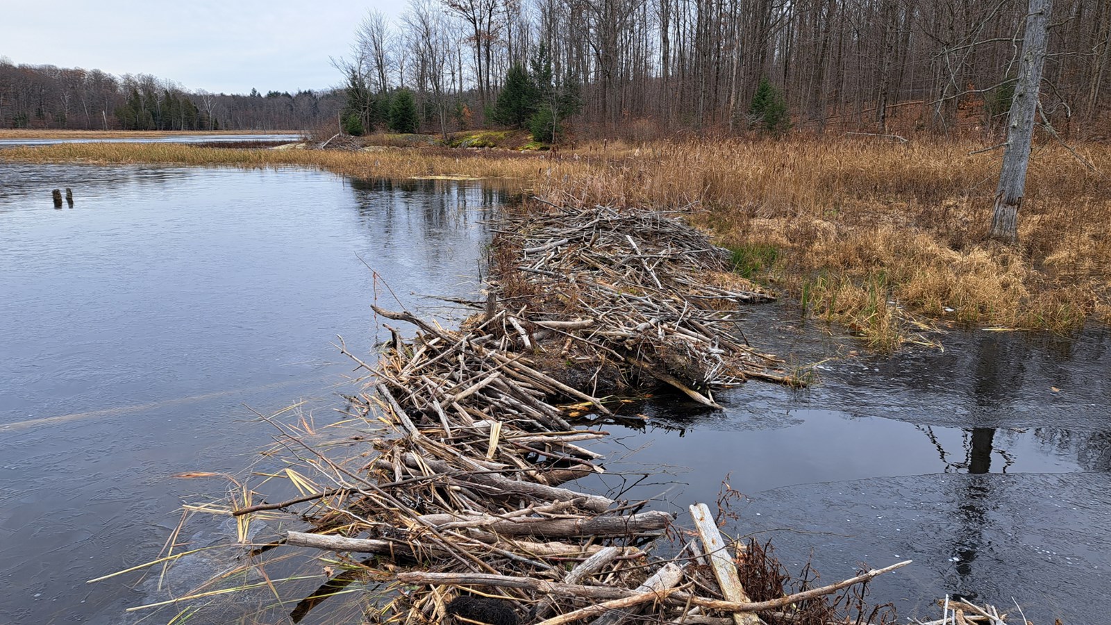 The beaver dam on the lake of the same name gave way  in summer 2023  
