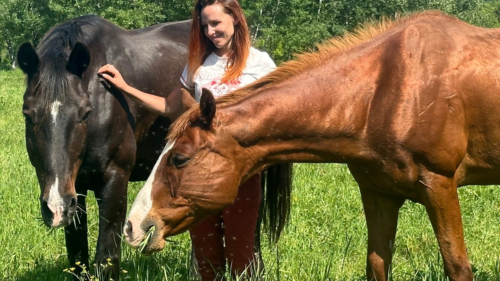 Improve your well-being with zootherapy