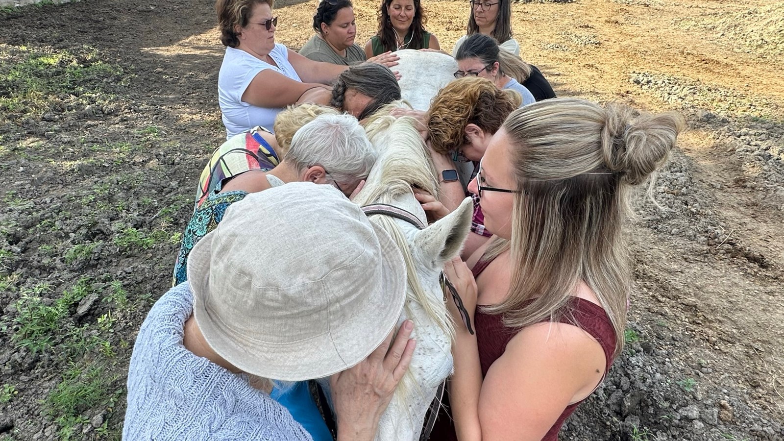 Improve your well-being with zootherapy