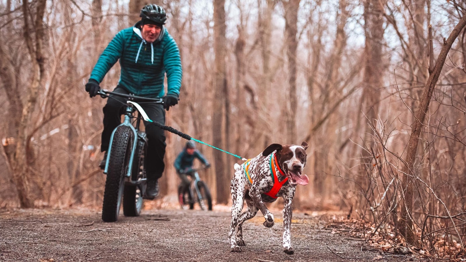 Retour du fatbike joring au Parc nature de Pointe-des-Cascades