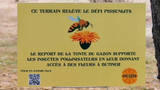 La Ville de L'Île-Perrot se joint au Défi Pissenlit 2025