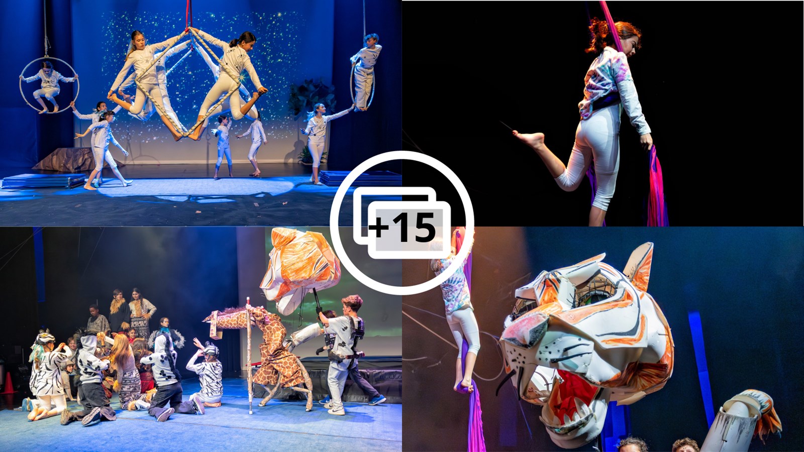 Festi-Cirque: Retour en images sur le spectacle de l'école Harwood 