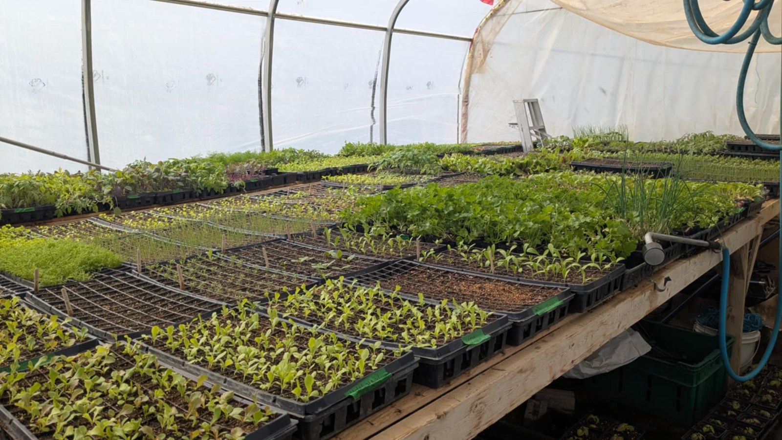La Ferme Les Petites Écores lance une campagne de sociofinancement