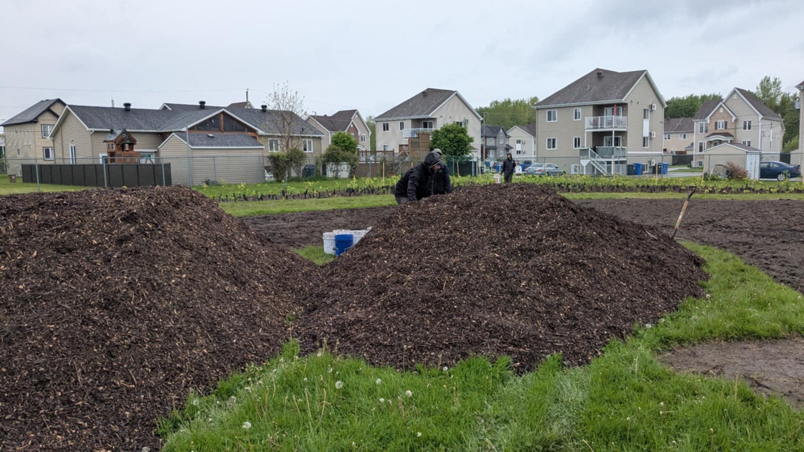 La Municipalité des Coteaux donne le coup d'envoi à sa microforêt Miyawaki 