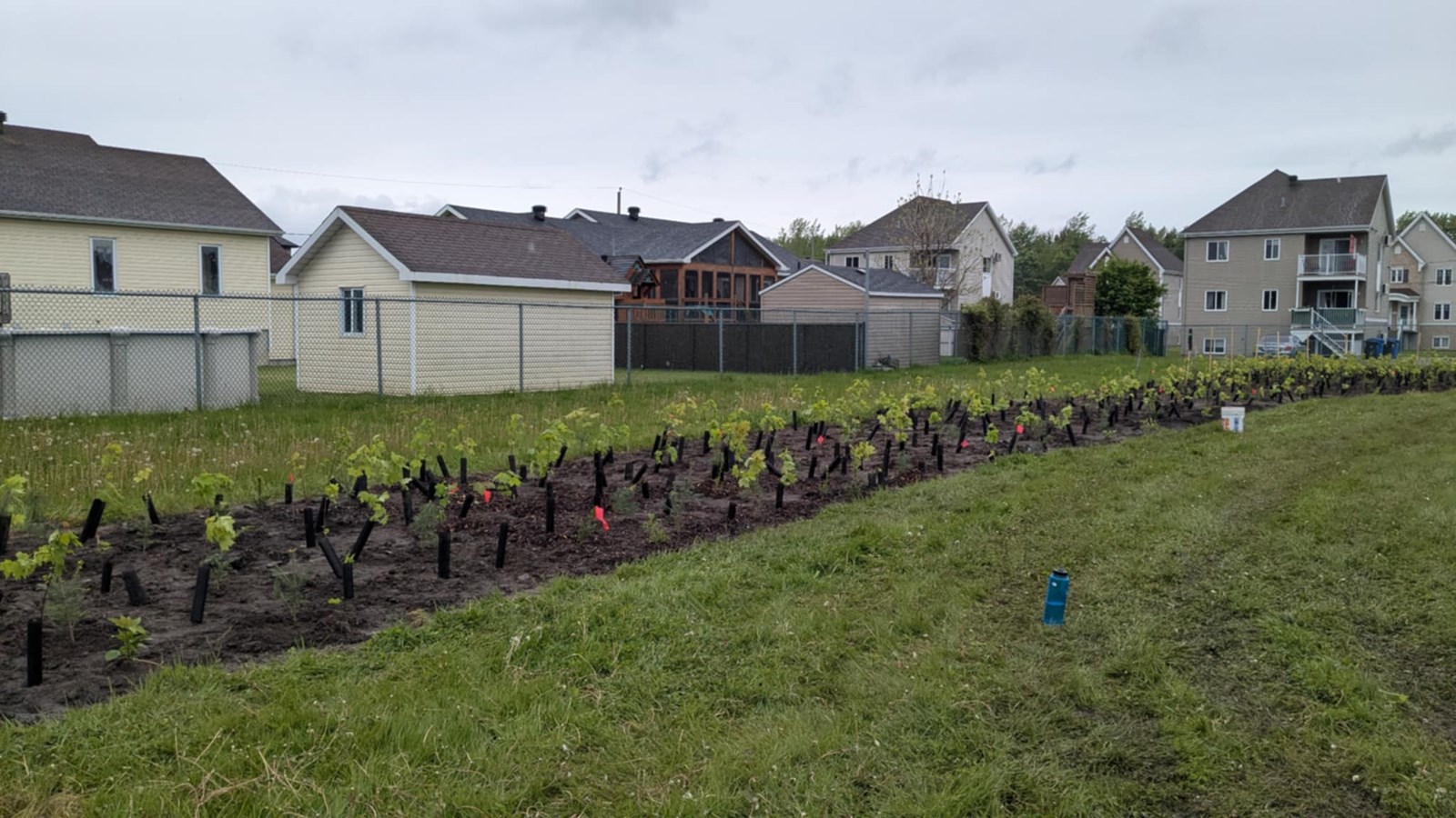 La Municipalité des Coteaux donne le coup d'envoi à sa microforêt Miyawaki 