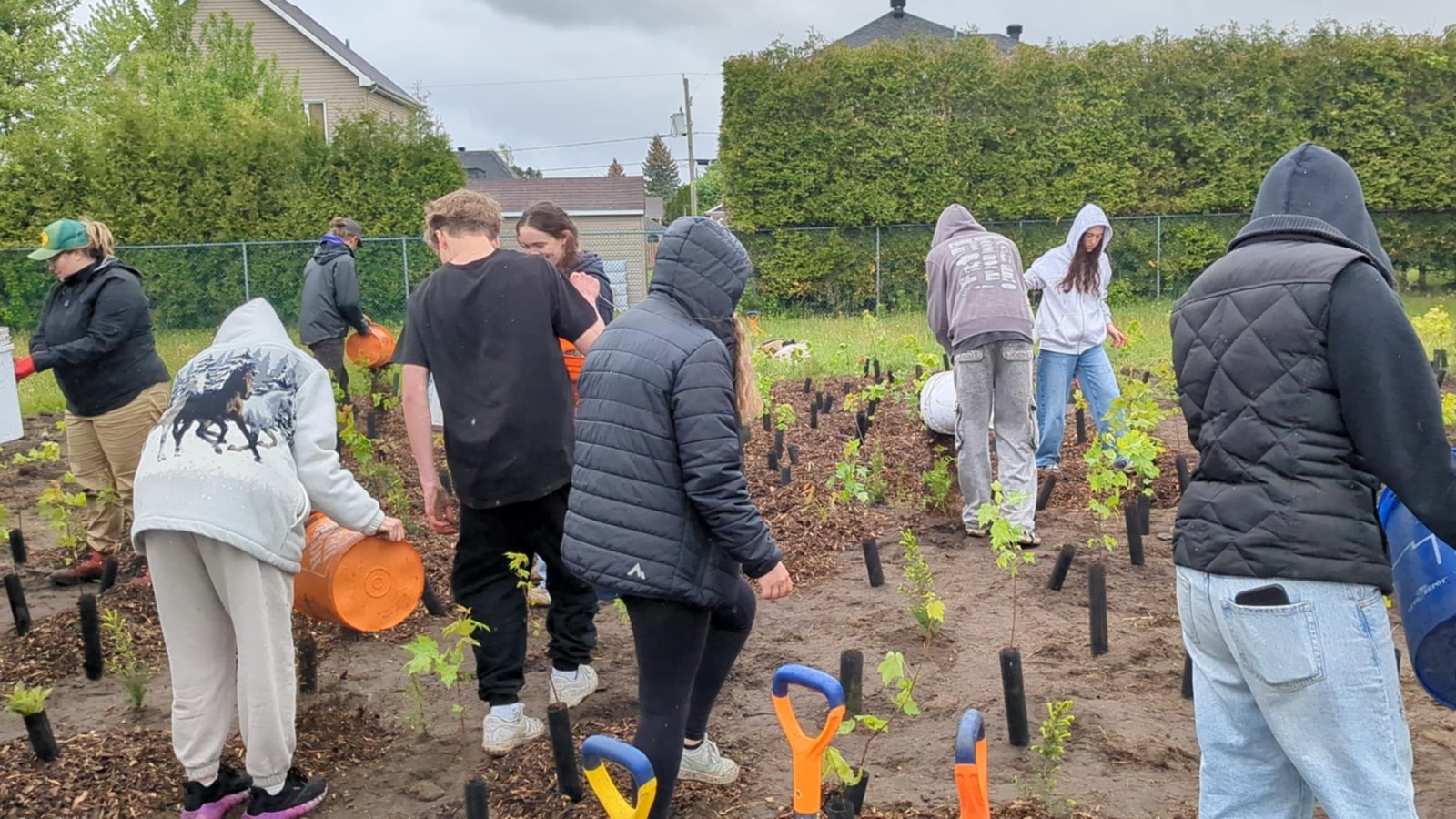 La Municipalité des Coteaux donne le coup d'envoi à sa microforêt Miyawaki 