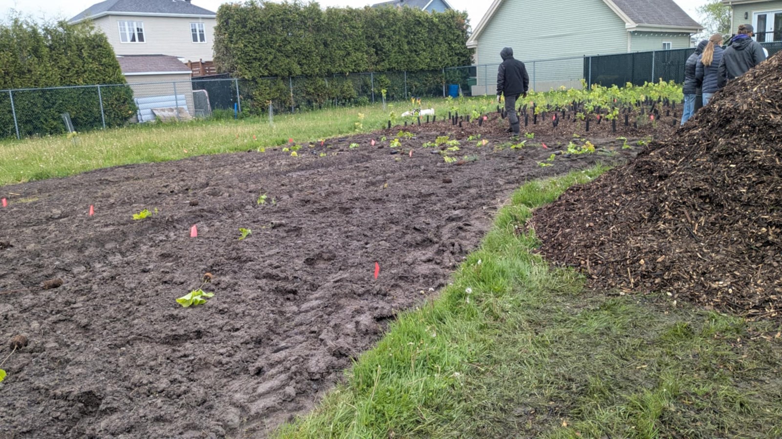 La Municipalité des Coteaux donne le coup d'envoi à sa microforêt Miyawaki 