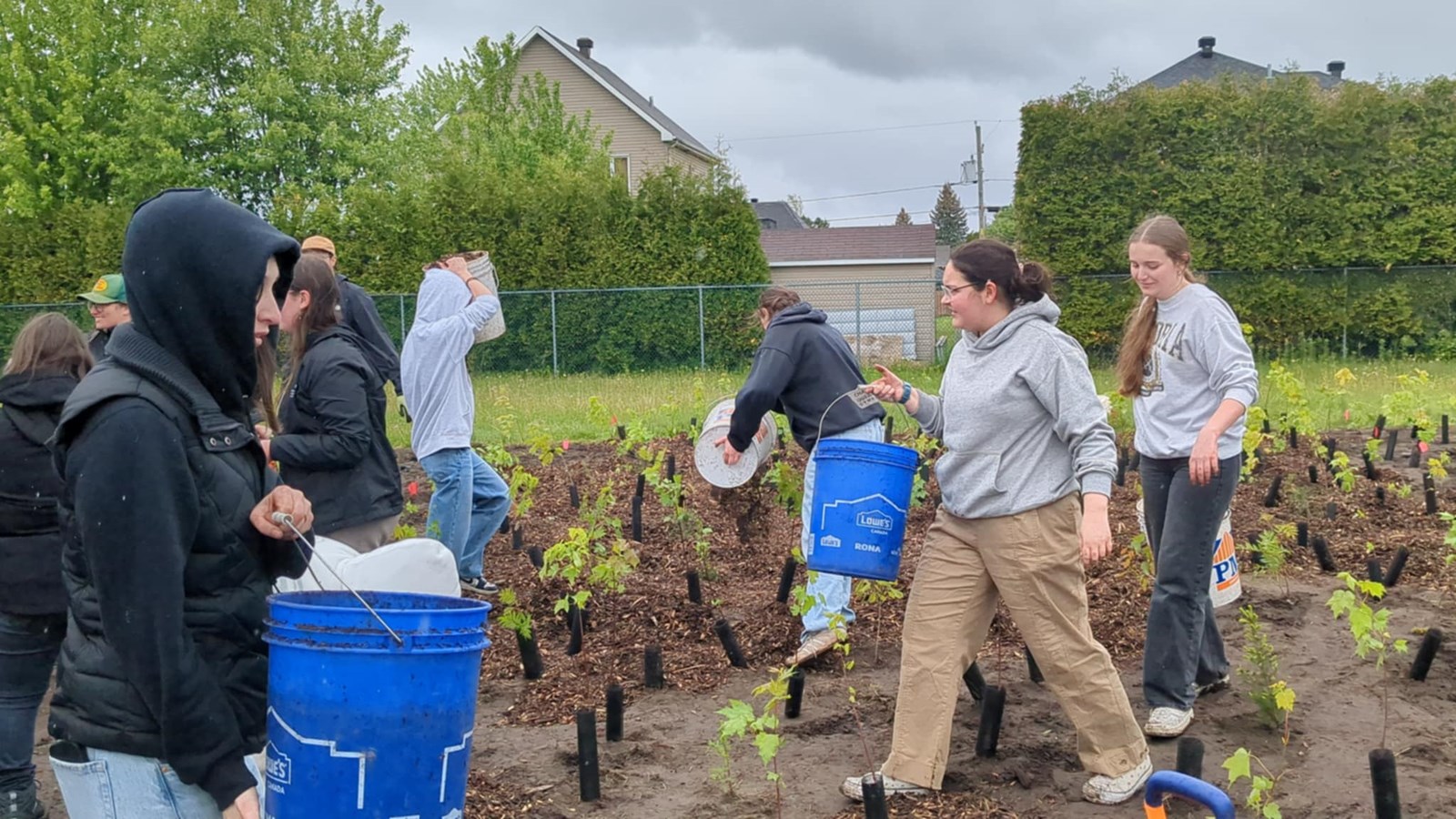 La Municipalité des Coteaux donne le coup d'envoi à sa microforêt Miyawaki 