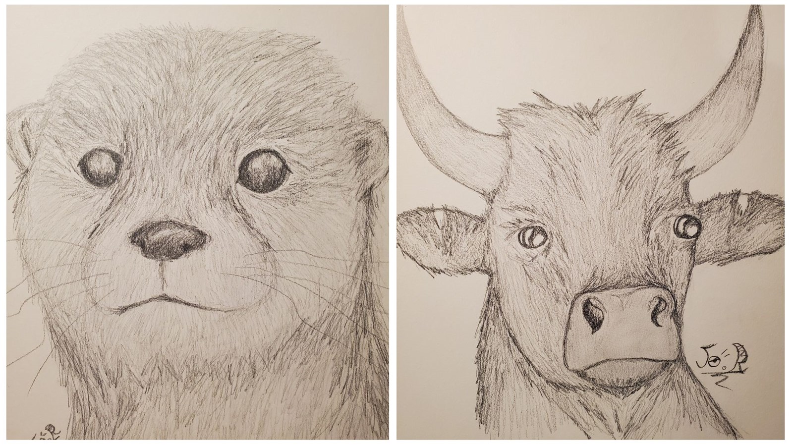 Joséphine Ravard : l’expression par le dessin
