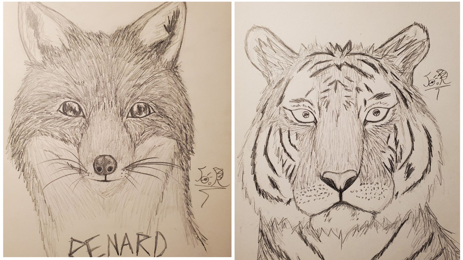 Joséphine Ravard : l’expression par le dessin