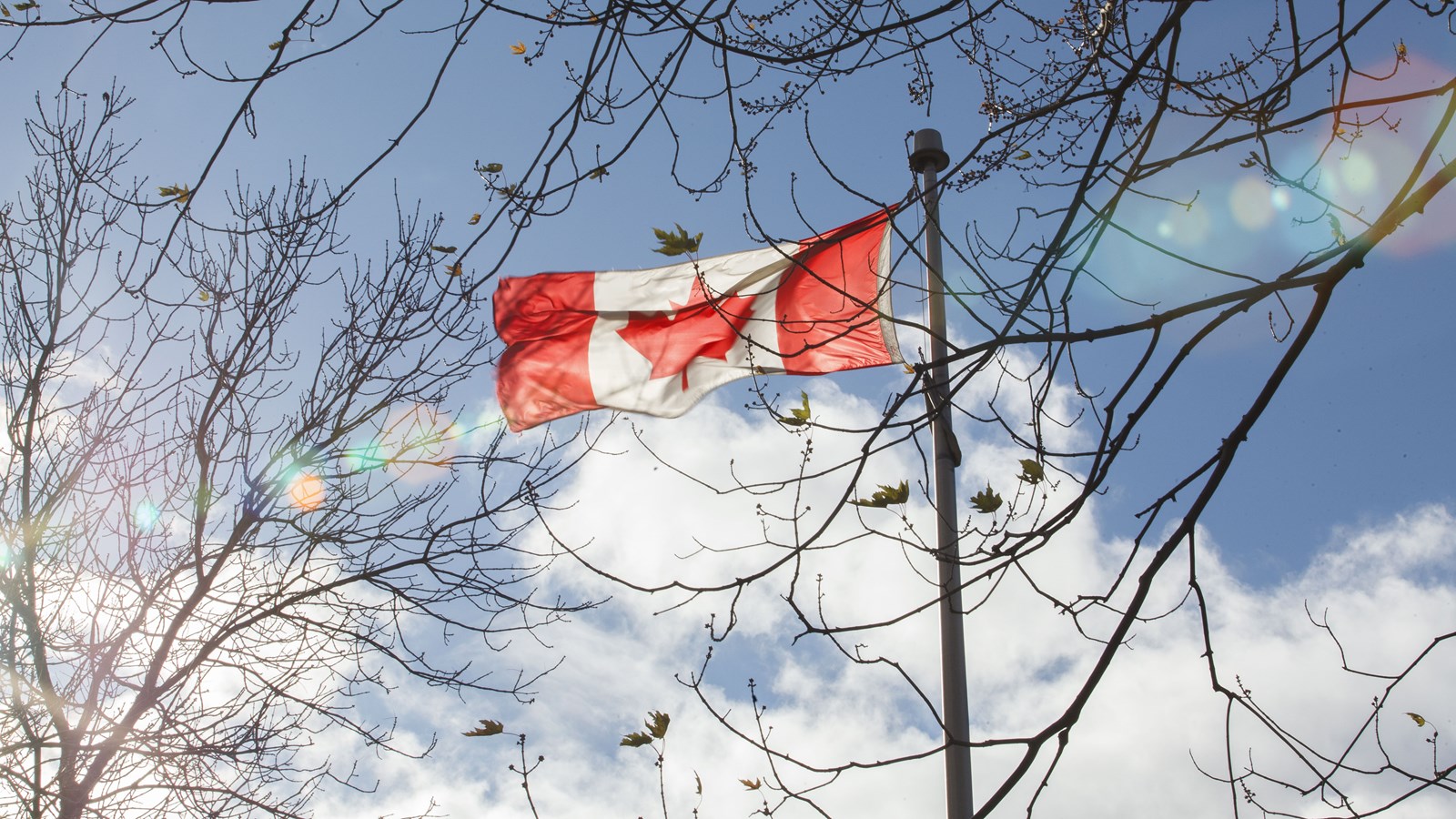 De la Saint-Jean à la fête du Canada : la genèse d’Ô Canada 
