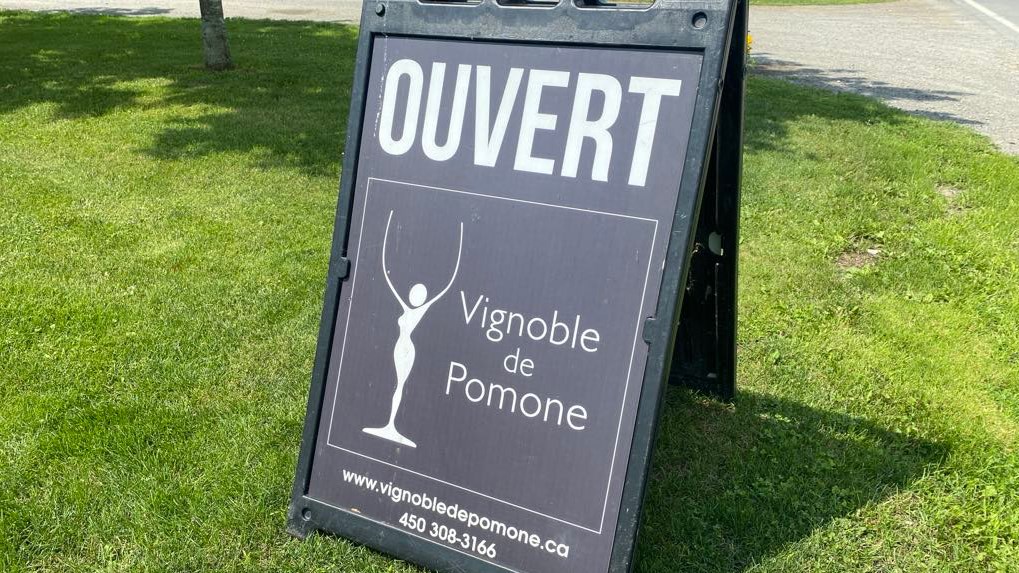 Vign'Art : une initiative pour faire briller les artistes d’ici