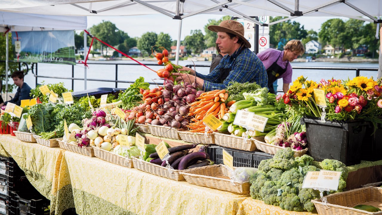 Cet été, découvrez la Ville de Sainte-Anne-de-Bellevue