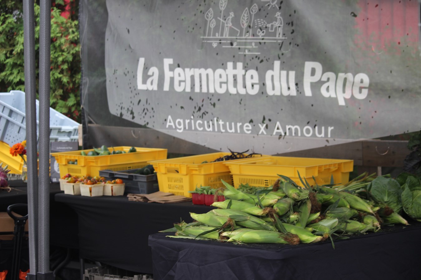 Retour en images sur le marché Pengrove