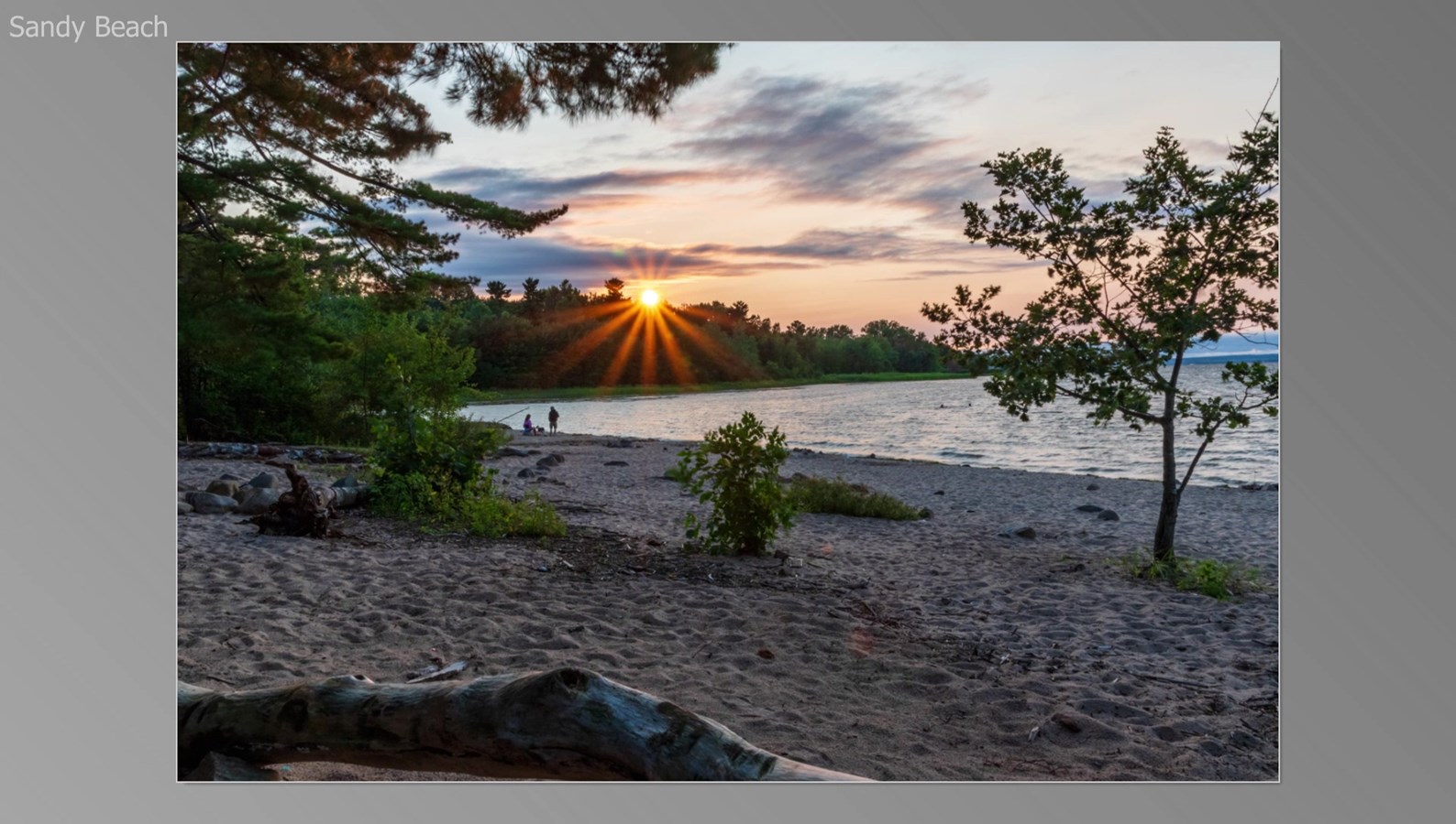 Un regroupement de citoyen bénévole à la défense de Sandy Beach