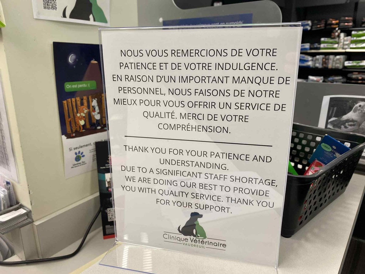 L’hôpital vétérinaire de Vaudreuil en conflit de travail