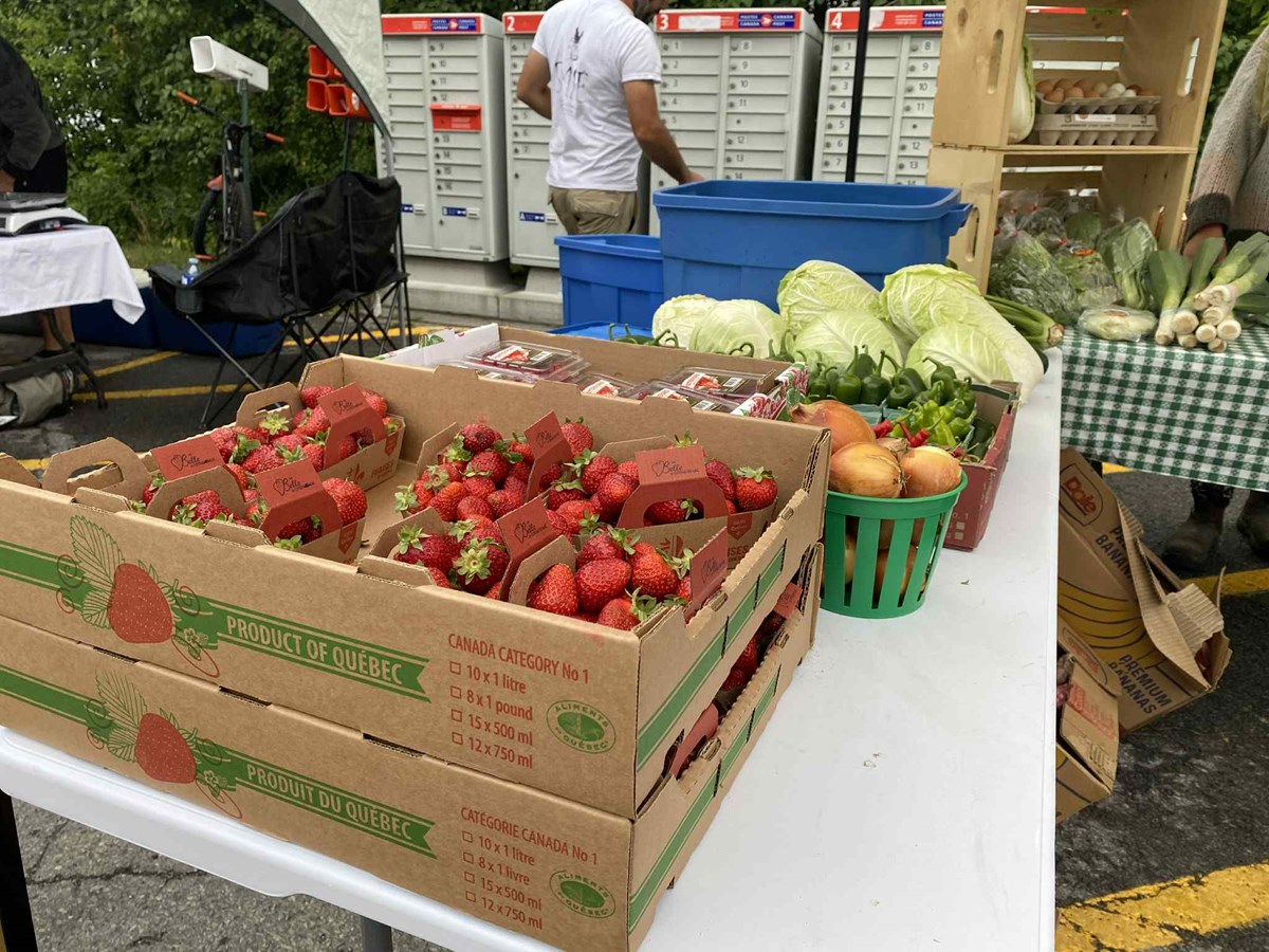 L'environnement: au coeur de la fête de la récolte