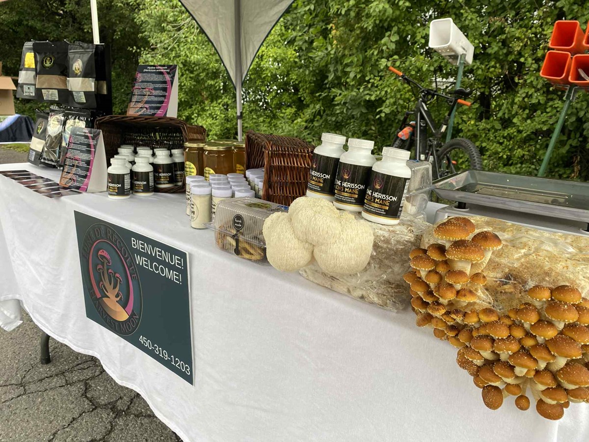 L'environnement: au coeur de la fête de la récolte