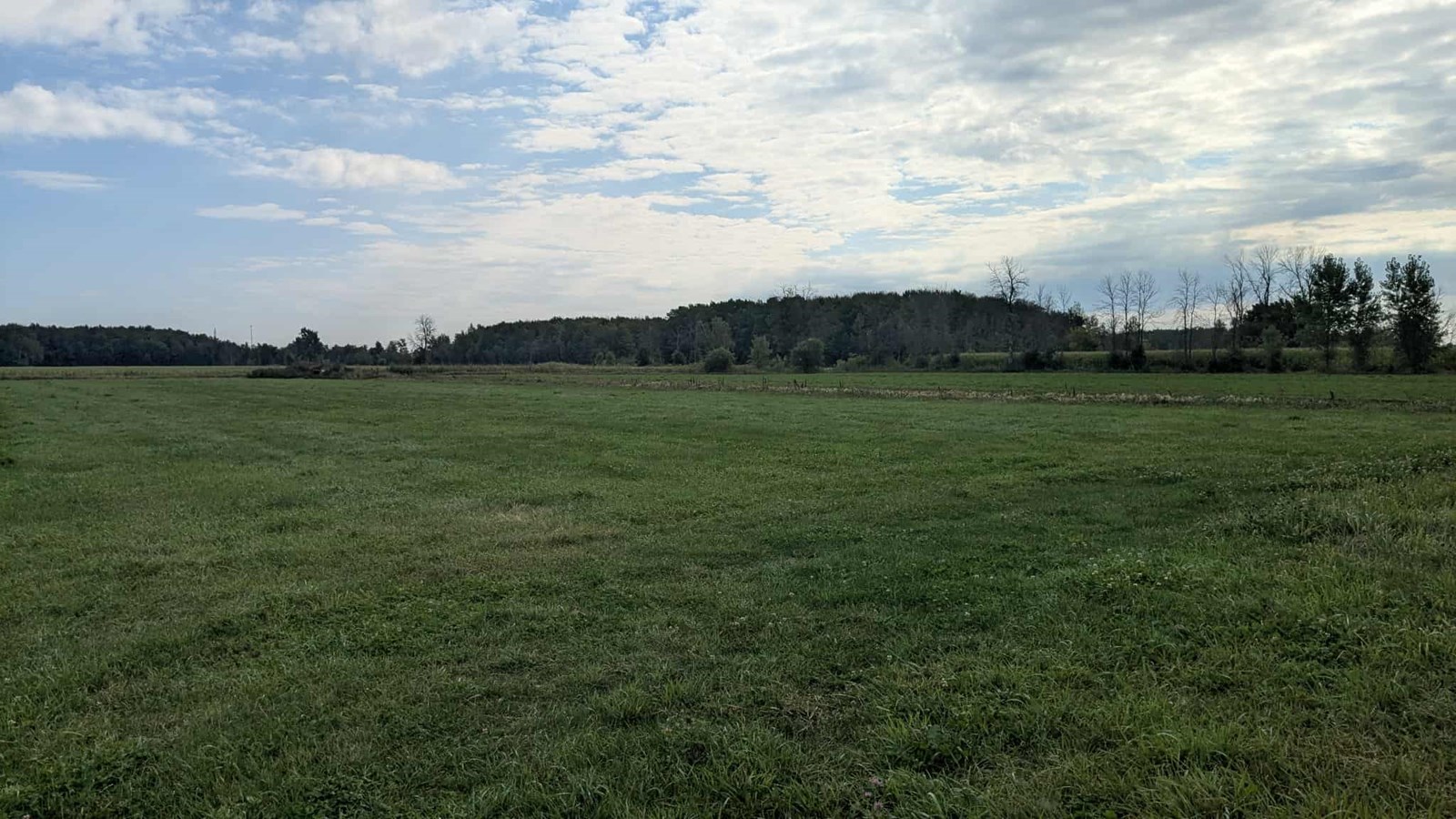 Un agriculteur des Cèdres s'implique dans le projet ALUS Montérégie