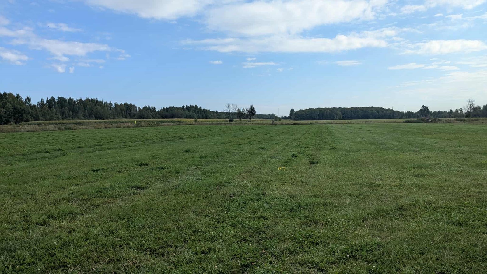 Un agriculteur des Cèdres s'implique dans le projet ALUS Montérégie