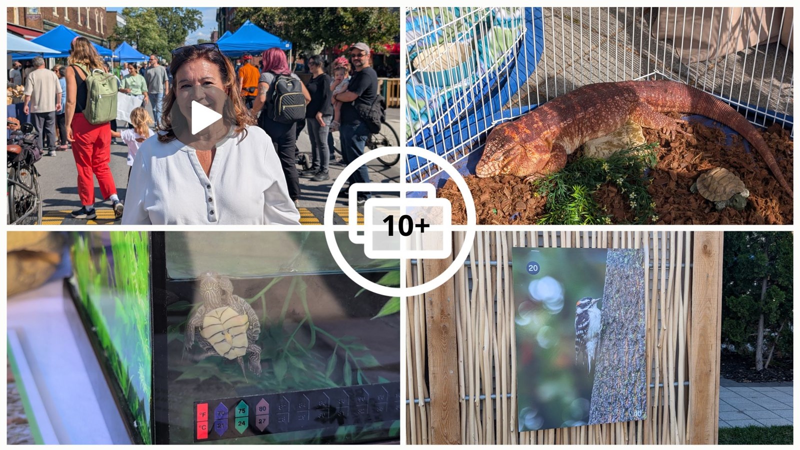 Naturellement Sainte-Anne : une célébration de la biodiversité à Sainte-Anne-de-Bellevue