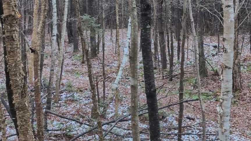 Signaler une activité de chasse suspecte