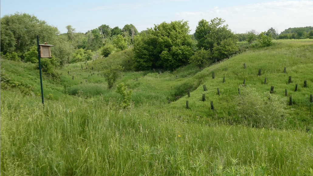 Créateurs de biodiversité