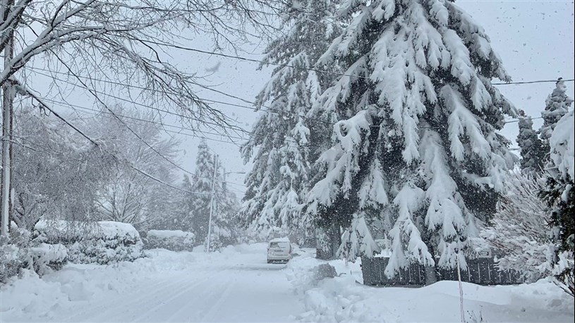 Un petit geste pour aider les chats errants en hiver