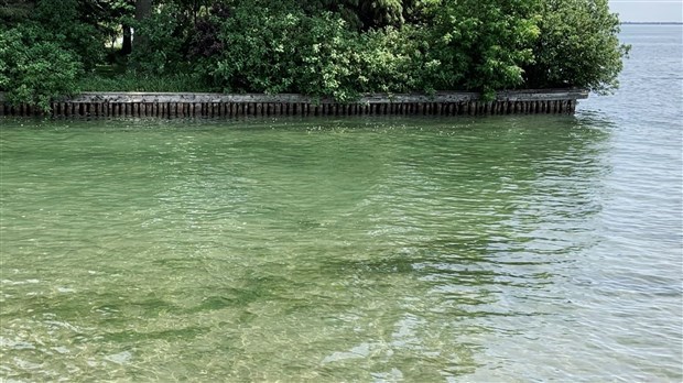 Une conférence sur la gestion de l'eau par les entreprises agricoles