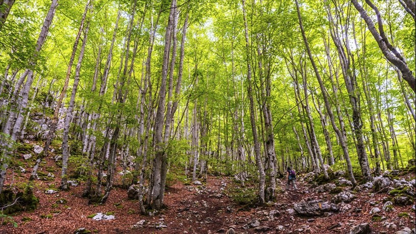 22 avril: Jour de la Terre