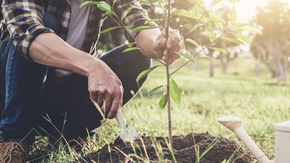 Journée environnementale « TSR à la Terre » 