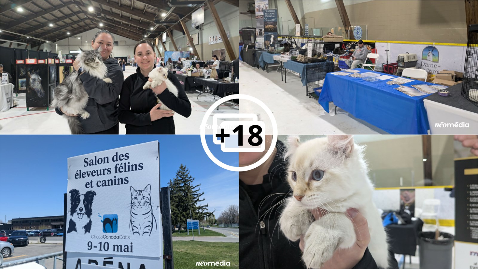À la découverte du Salon des éleveurs félins et canins à Vaudreuil-Dorion 