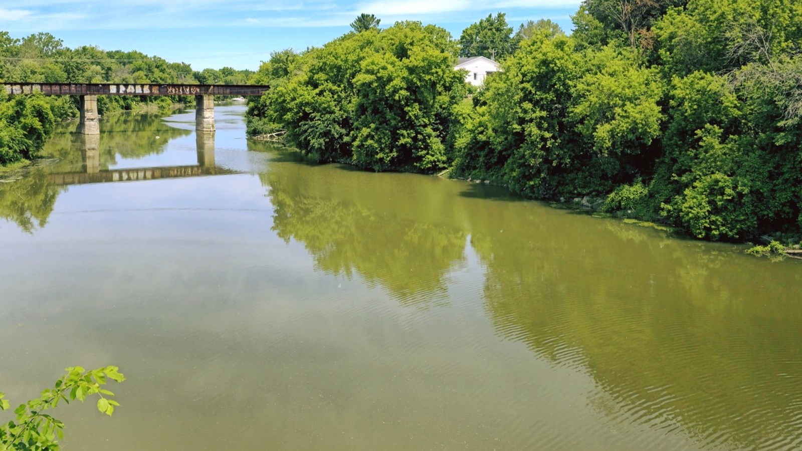 Capturer la beauté et la fragilité des plans d’eau de notre région