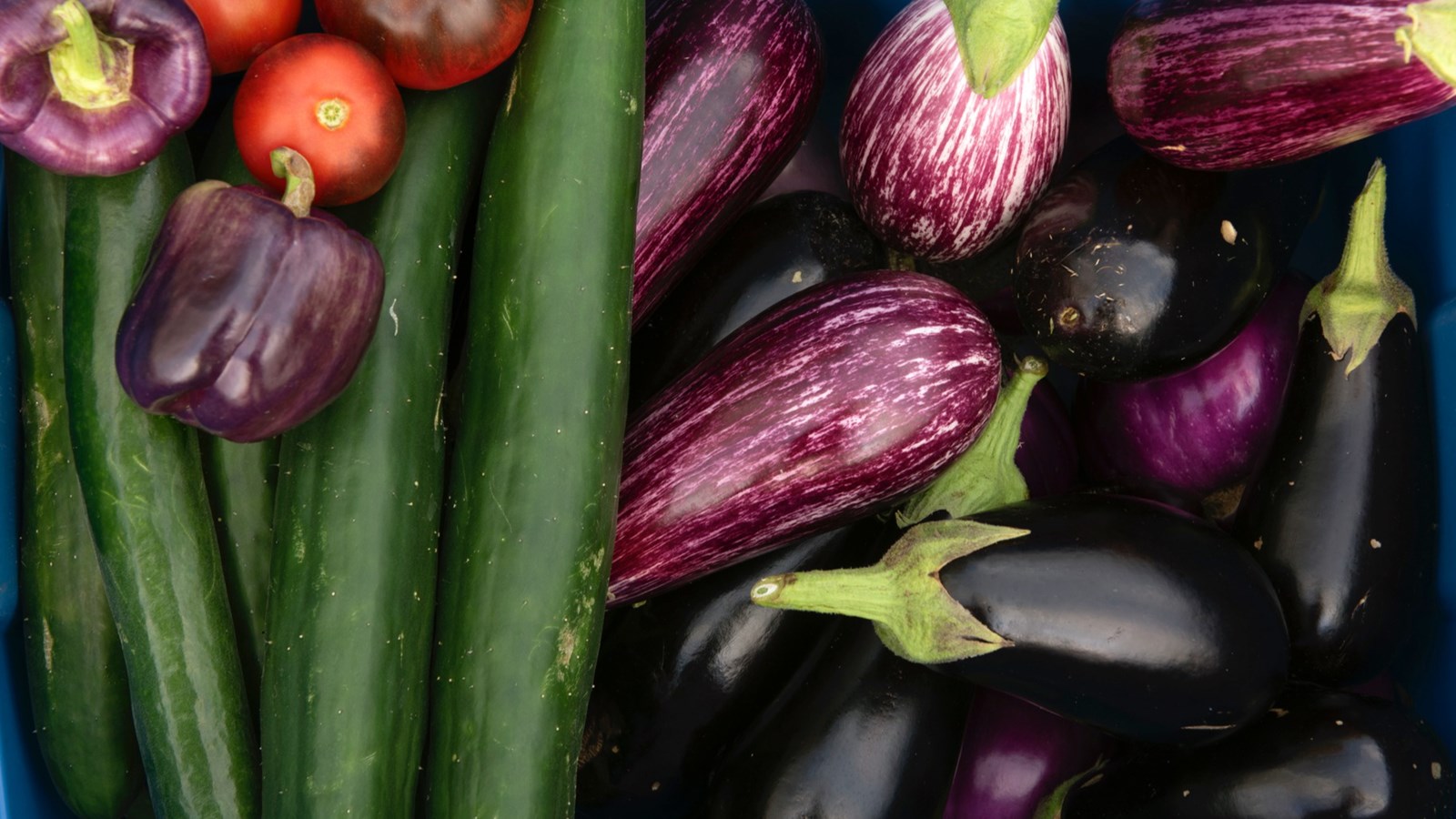 Alimentation des jeunes: les fruits et légumes n’ont pas la cote
