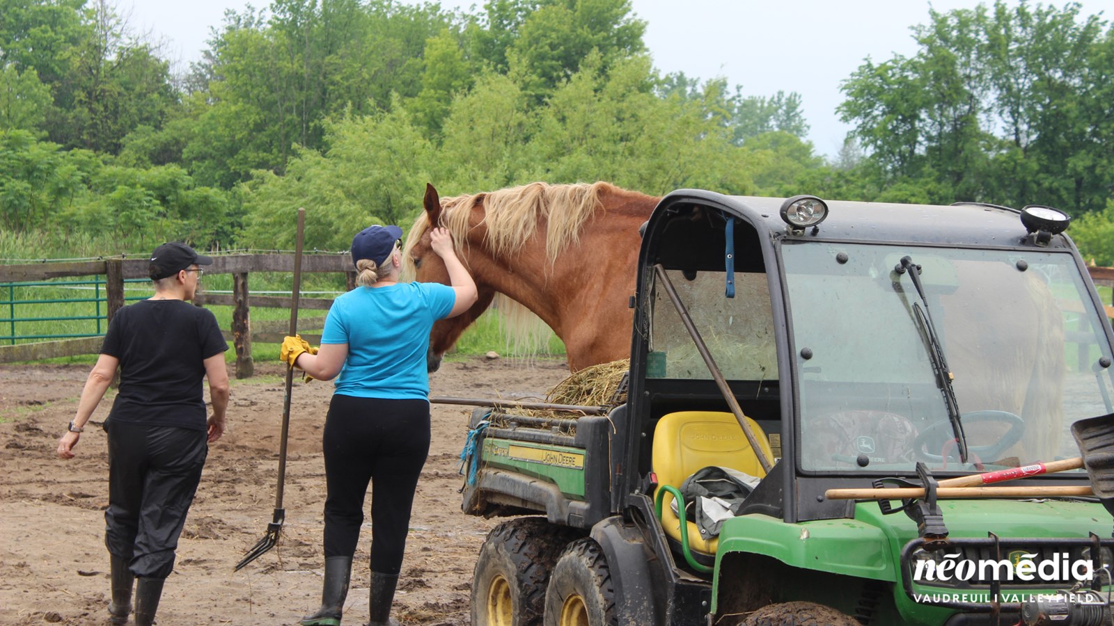 Une écurie pas comme les autres offre un répit aux chevaux
