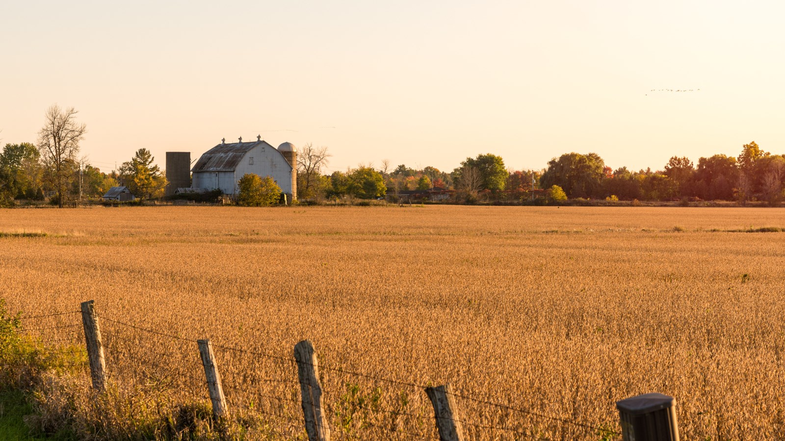 Des agriculteurs mécontents de la tournure des événements