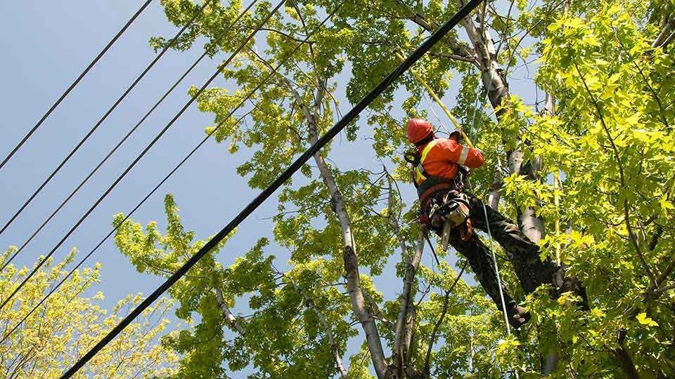Six interruptions planifiées prévues cette semaine dans Vaudreuil-Soulanges